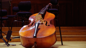 Read more about the article Unusual Instruments You’ve Never Heard Of: Discover Unique Musical Treasures