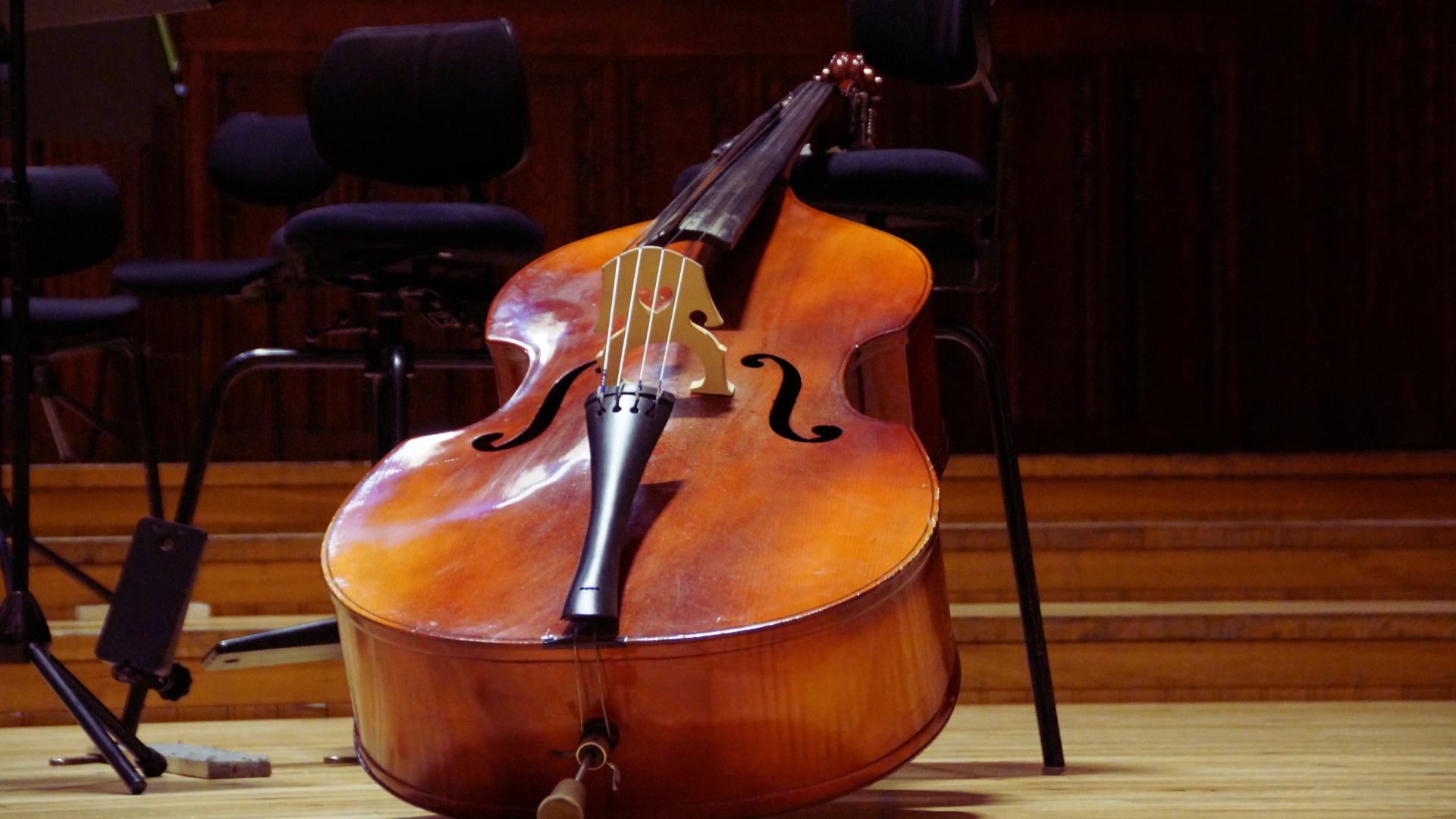 Read more about the article Unusual Instruments You’ve Never Heard Of: Discover Unique Musical Treasures